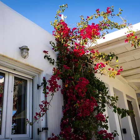 Villa Artemis-3
