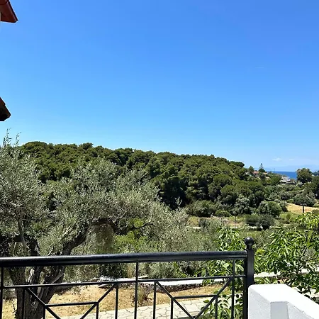 Pandora Studios Skiathos-2