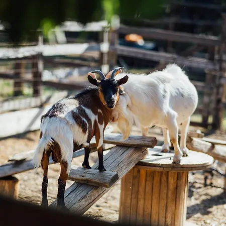 Karaiskos Agritourism Farm-2