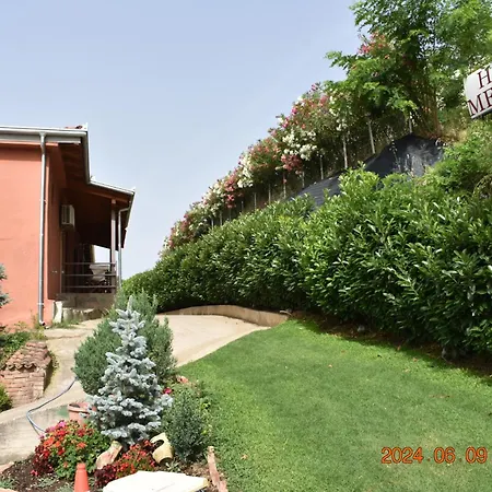 Hotel Meteora-2