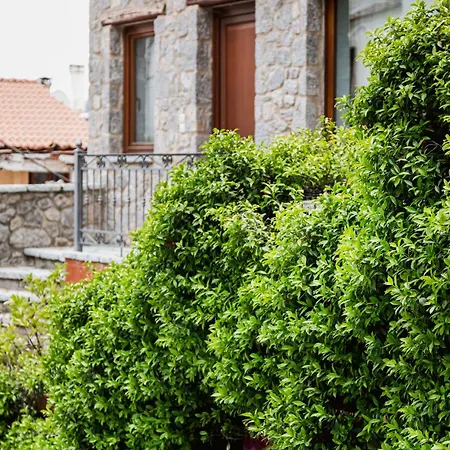 Guest House Ioanna Arachova-3