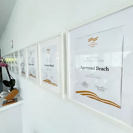 Anemoni Beach Hotel-3