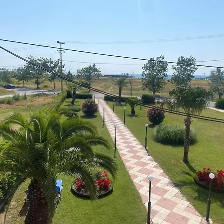 Oasis-2