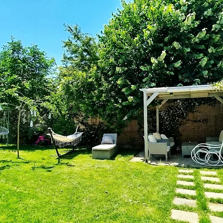 Theano Luxury Suites Nikiti-3