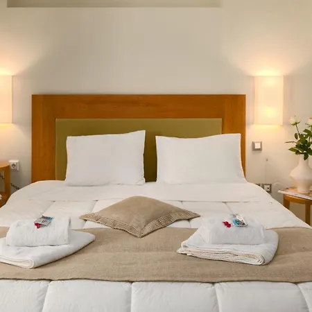 Fedriades Delphi Hotel-3