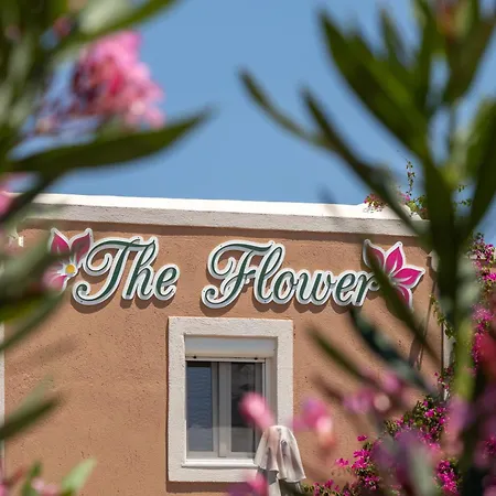 Pension The Flower-3