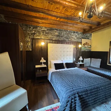 Chalet Asteras Tou Vorra-2