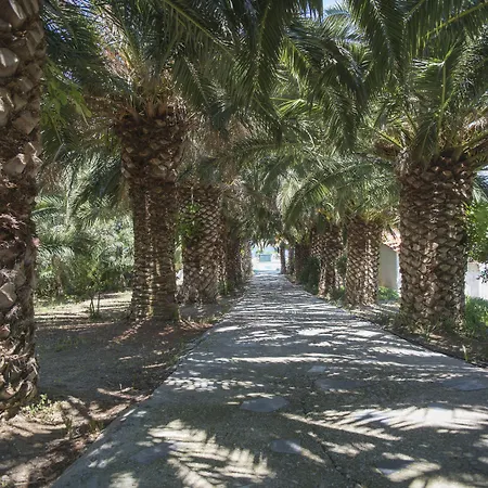 Clara Resort-2