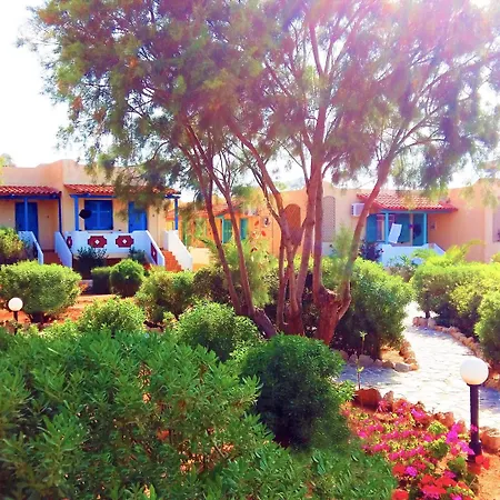 Zorbas Beach Village Hotel-2