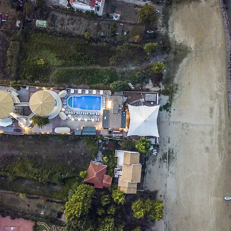 Island Beach Bamboo (Adults Only)-2