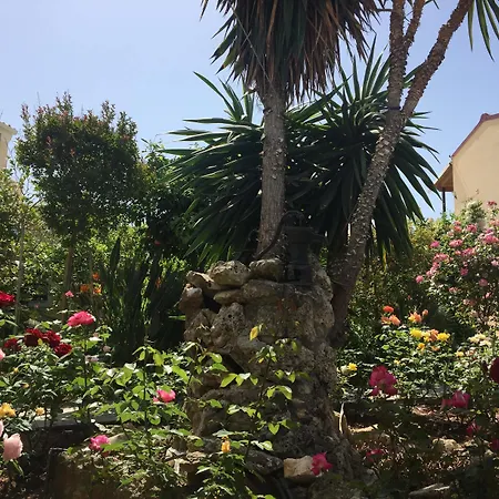 Ilena Hotel-2