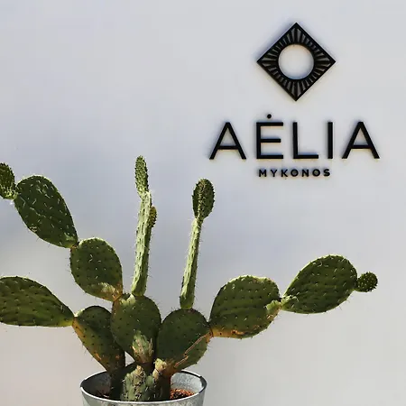 Aelia Mykonos-2