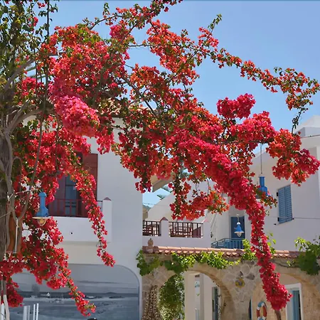 Saronis Hotel Agistri - Adults Only-3
