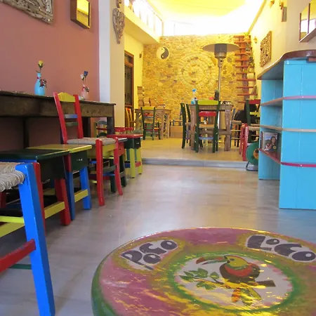 Poco Loco Bed & Breakfast-3