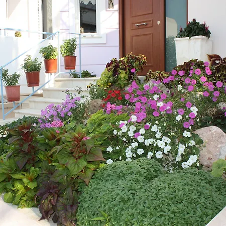 Veggie Garden Athens B&B-2