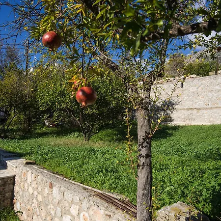 Elia Apartments Chrisso-3