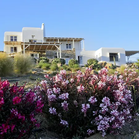 Salty Houses-3