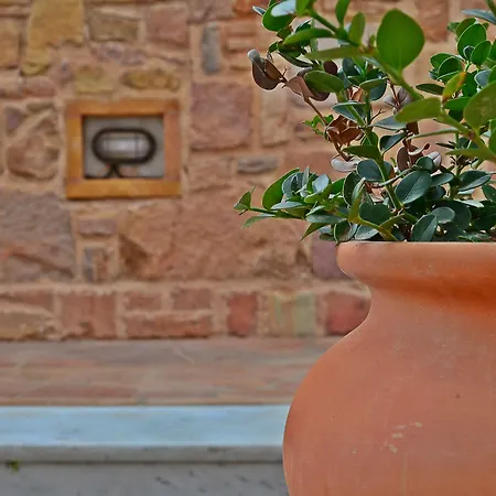 Mastiha Villas In Town-2