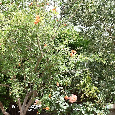 Andriani'S Guest House-2