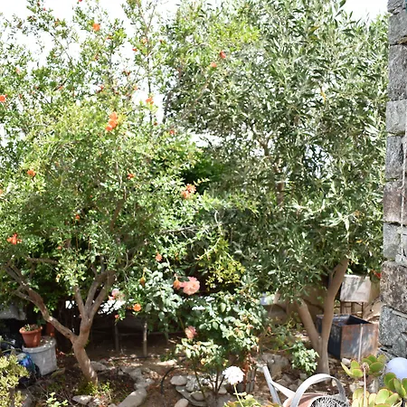 Andriani'S Guest House-3