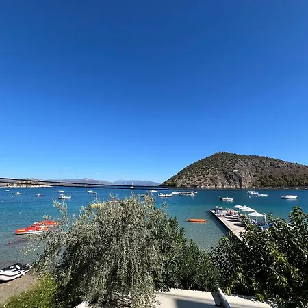 Barbaressa-3