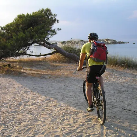 Villa Dallas-Beach,Bike&Gym-2