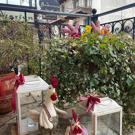 Ξενώνας Βαλεντίνη-3