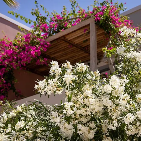 Rose Bay Hotel-3