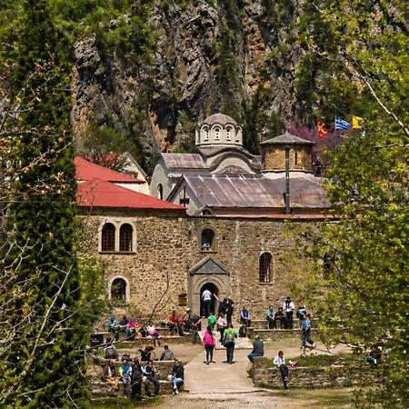 Vikos View-3