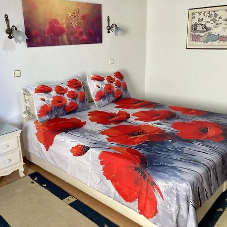 Anemones Rooms-2