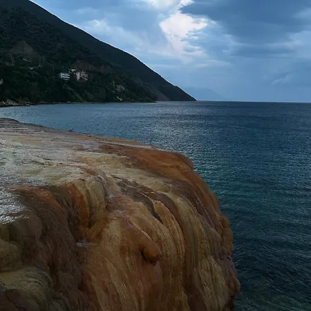 Palatino-3