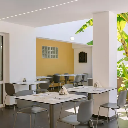 Xidas Garden-2
