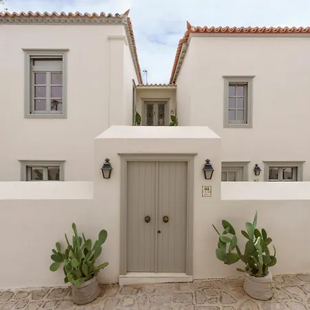 Cactus Hydra - Art Apartments-3