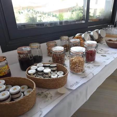 Domus Hospitality-3