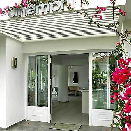 Anemoni Beach Hotel-2