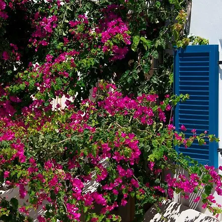 Petini'S Place-3