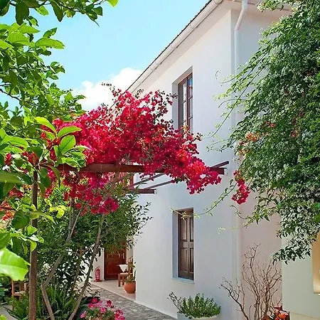 Maria Studios-2