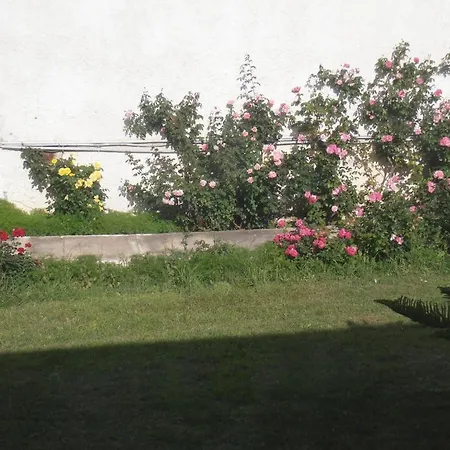 Mariliza Beach Hotel-3