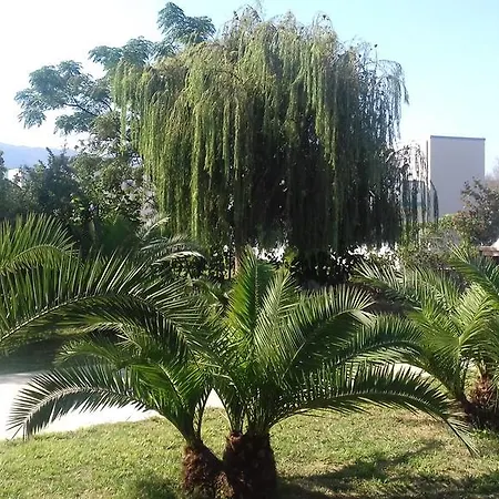 Hollywood Suites-2