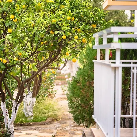 Primavera Paradise Apartments-2