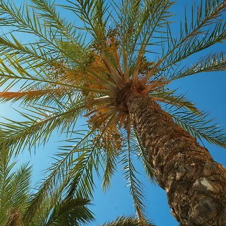 Kallitsakis Beach-3