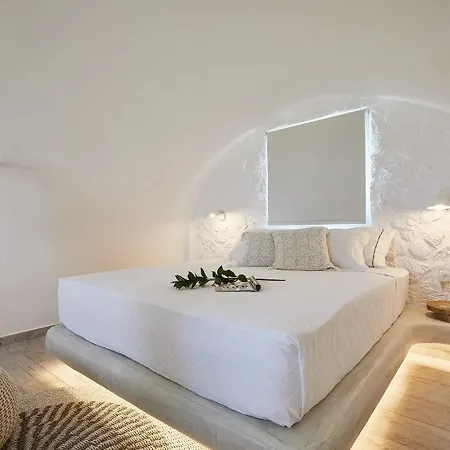 Petri Suites-3