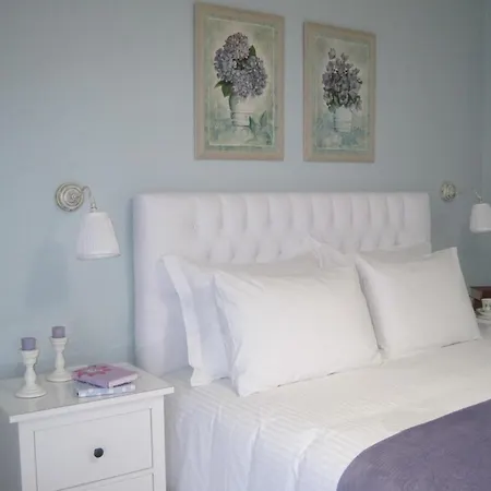 Sugar Home-3