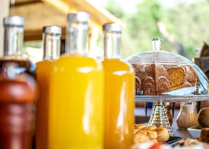 F&S Lounge Suites Parga