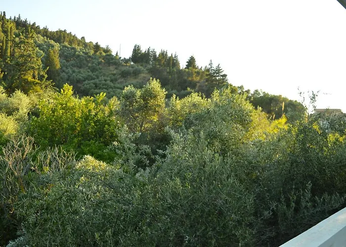 Paradise Beach Apartments Argassi