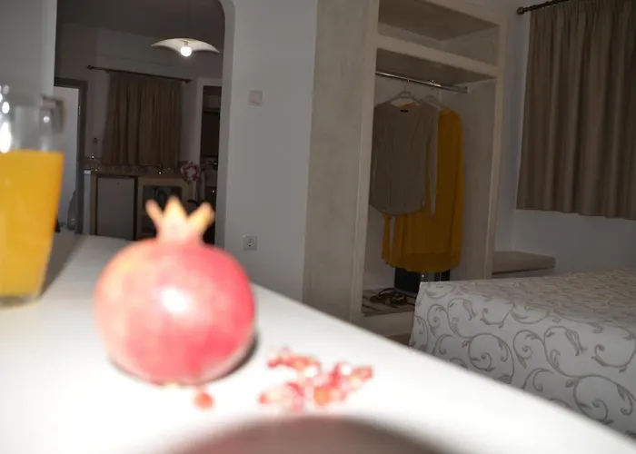 Niovi Hotel Fira 