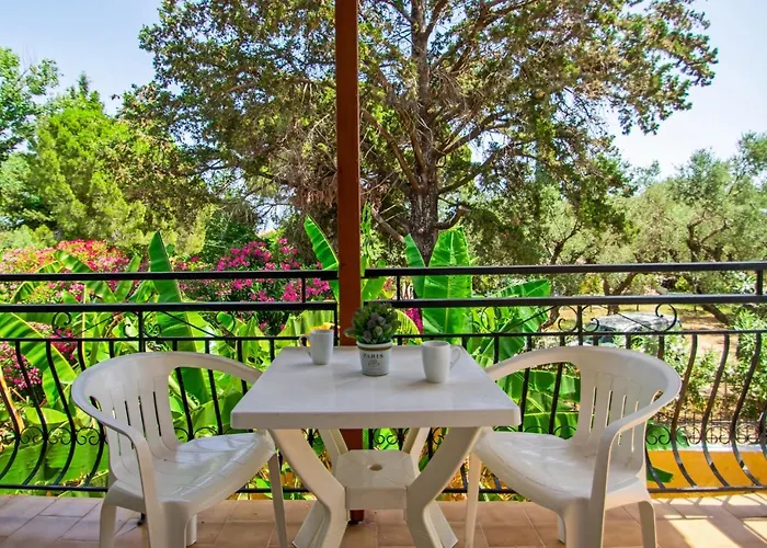 Divina Pool & Beach Hotel Laganas