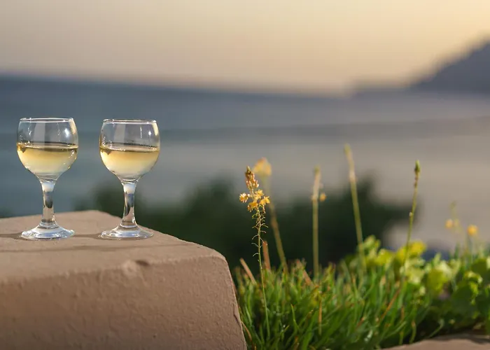 Alianthos Beach Hotel Plakias