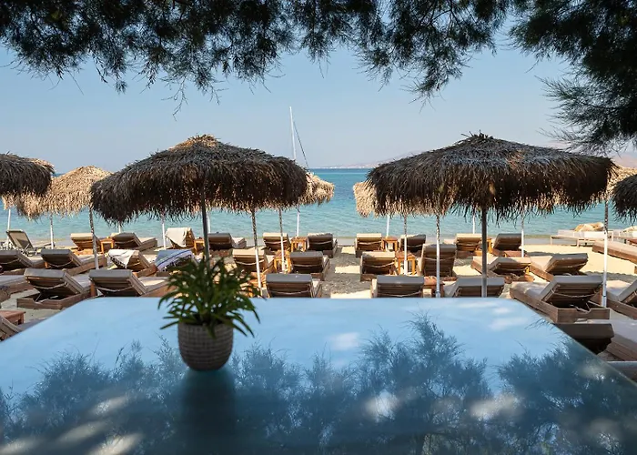 Castello On The Beach Agia Anna 