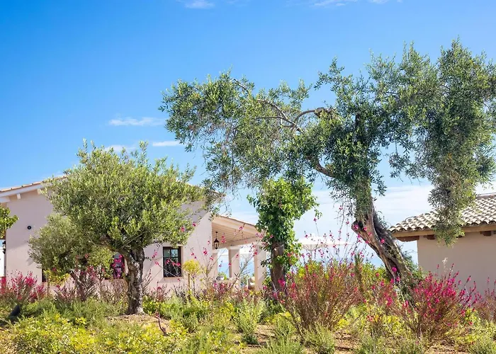 Hoteluri în Benitses (Corfu)